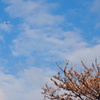 DSC00596