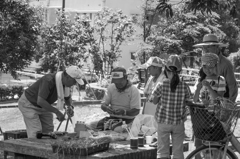 _MG_3359
