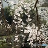 _MG_6797