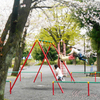 さくら公園３