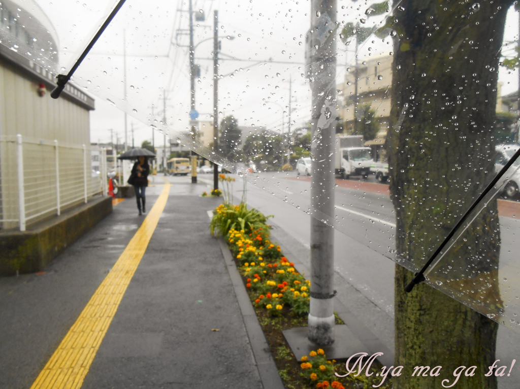 「雨」