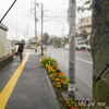 「雨」