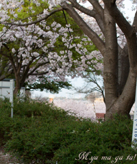 トンネル