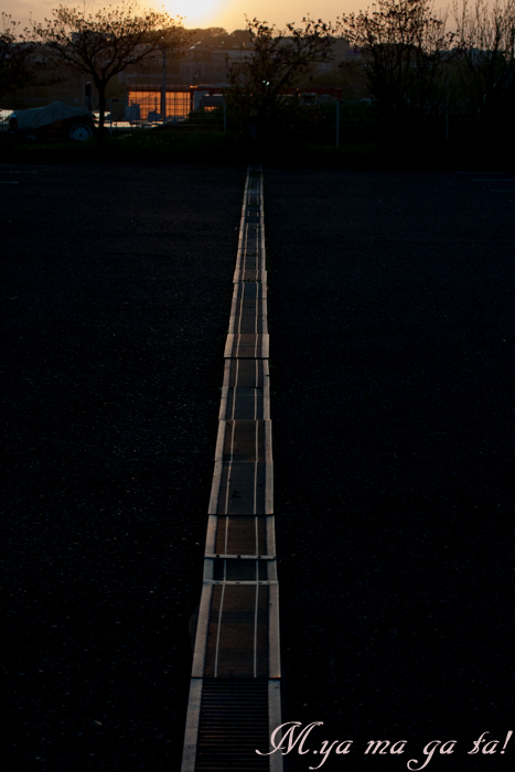 光りの道