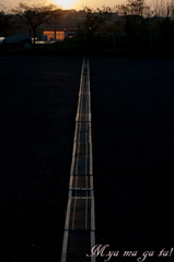 光りの道