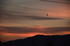 DSC_5776