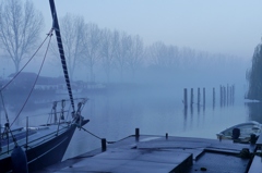 朝の霧３