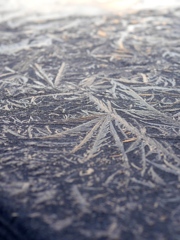 Frozen table 2