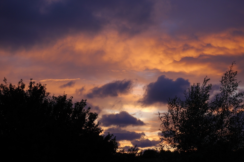 今日の夕空