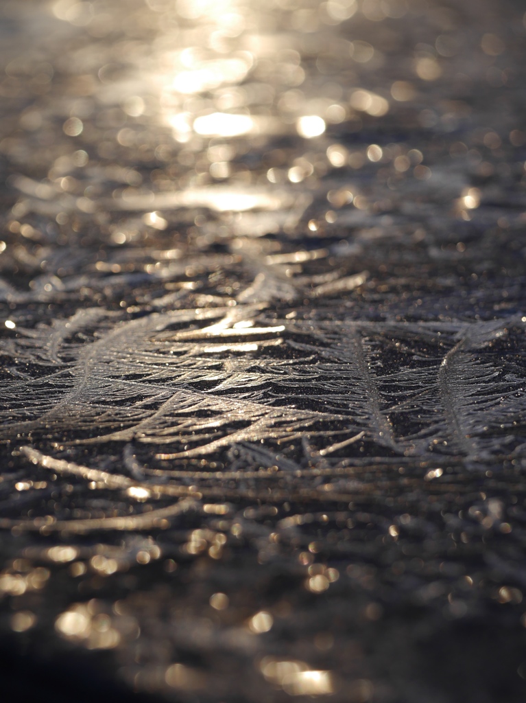 Frozen table 3