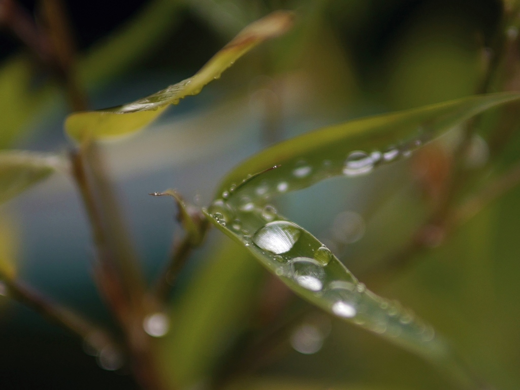 雨の日も好き２