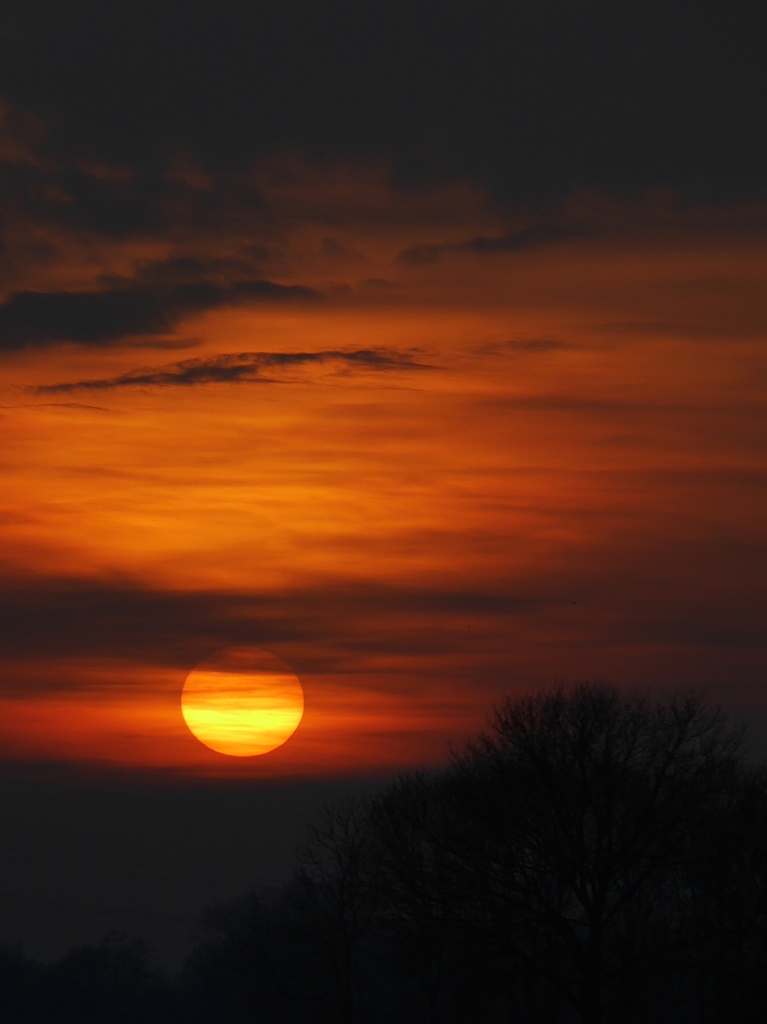 Evening sun