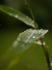 雨の日も好き１