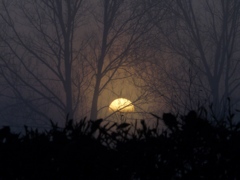 霧の中の夕日