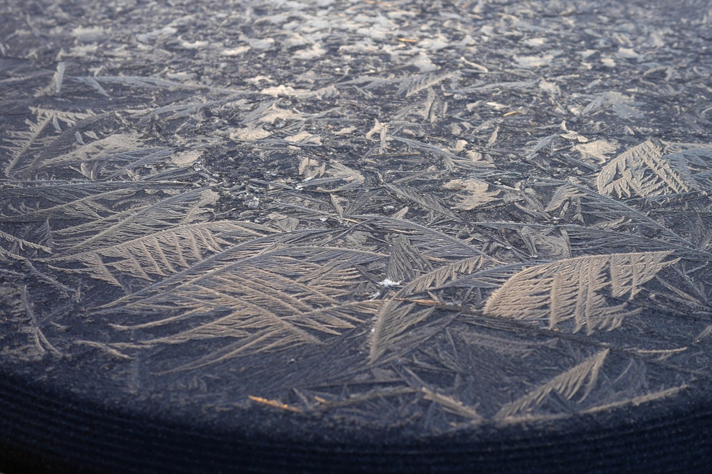 Frozen table 1