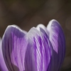 Spring !　１