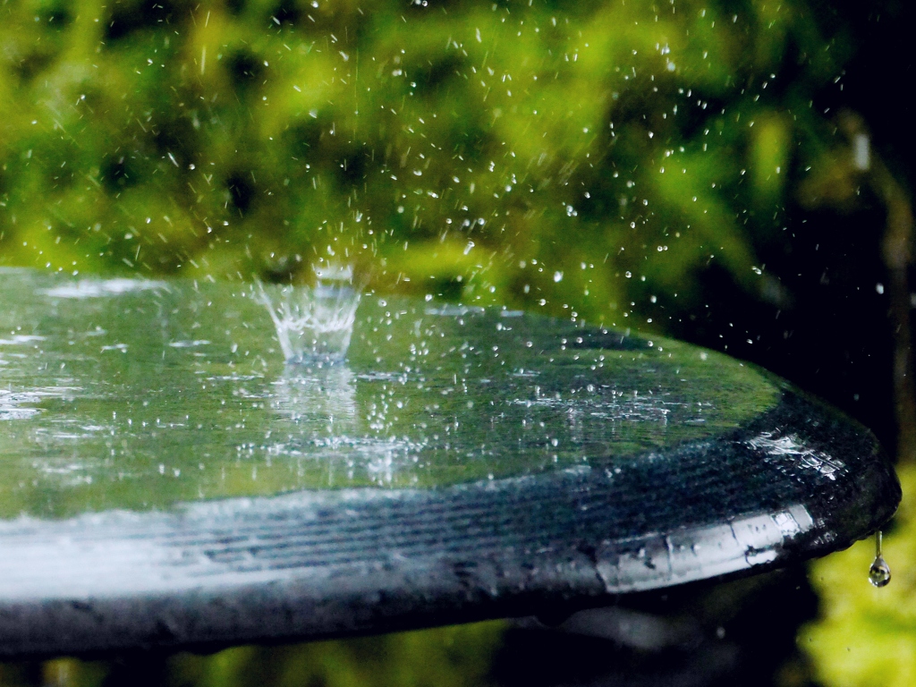 にわか雨のダンス