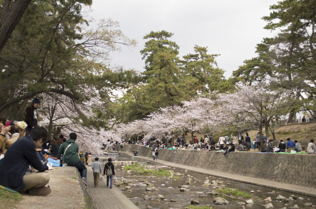 夙川001