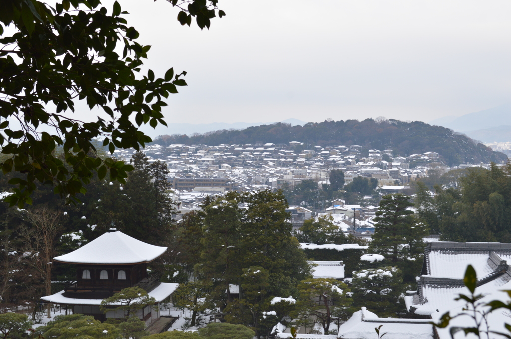 雪景色