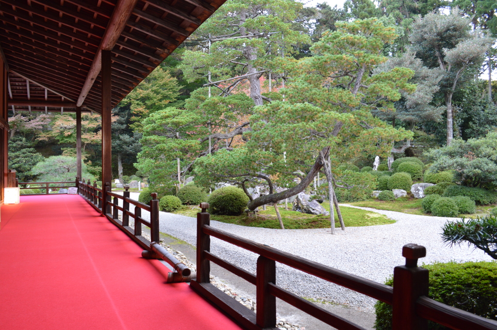曼殊院門跡_庭園003