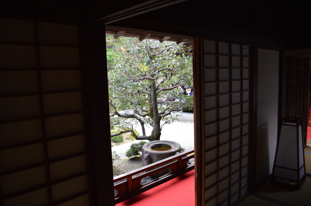 曼殊院門跡_庭園004