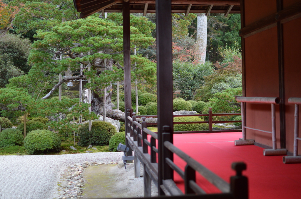 曼殊院門跡_庭園005