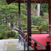 曼殊院門跡_庭園005