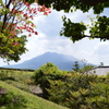 仙厳園から望む桜島