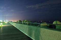 夜の海辺