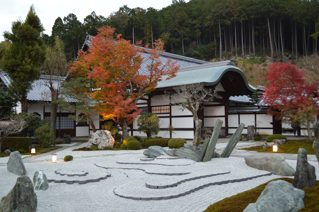 圓光寺_庭園002