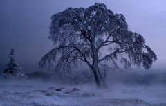 地吹雪