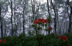 美ヶ原高原