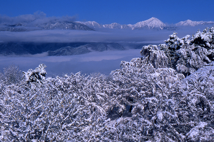 季節外れの雪Ⅰ