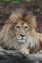 天王寺動物園