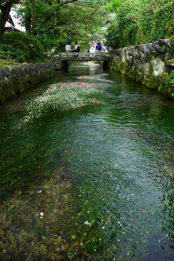 中山道醒ヶ井-01