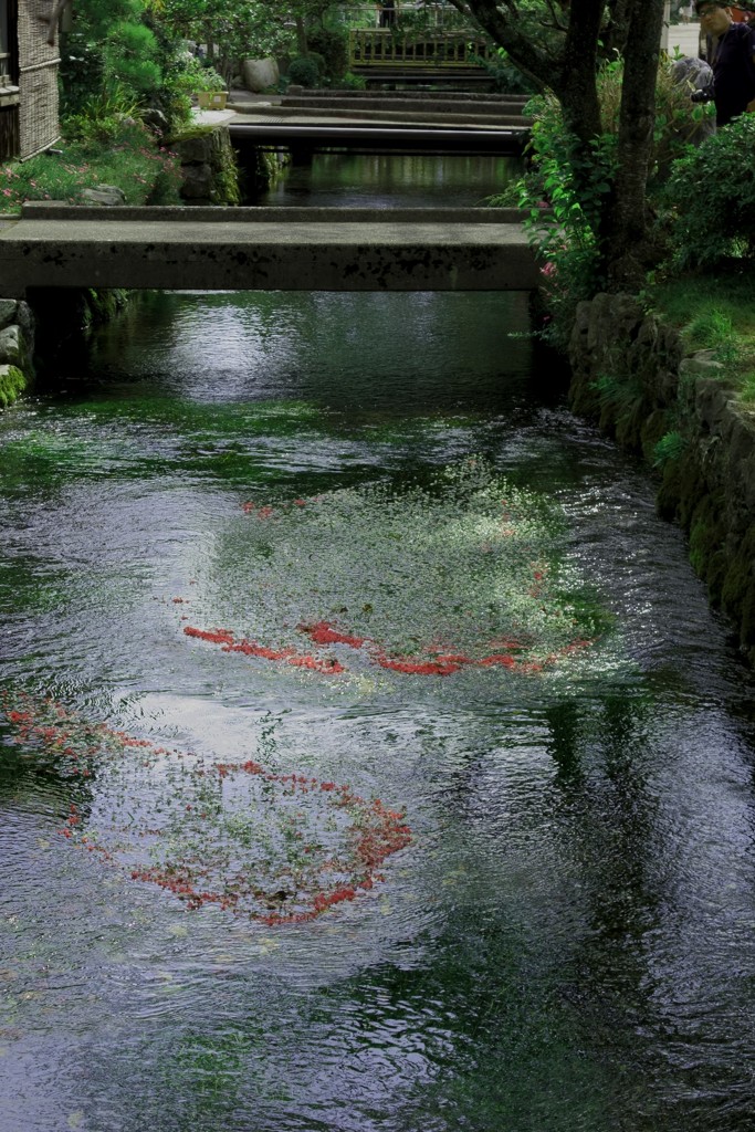 中山道醒ヶ井-02