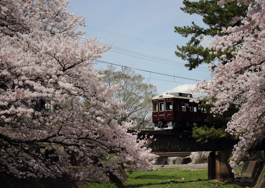 阪急電車と桜