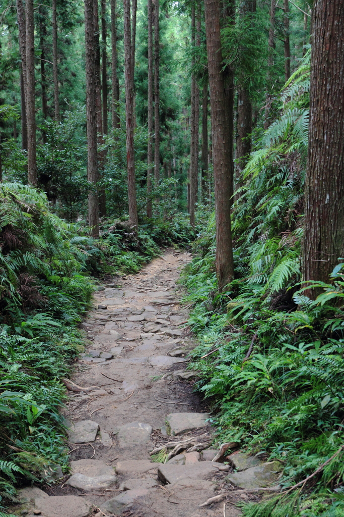 熊野古道