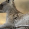 ちょっとだけよ～あんたもすきね～