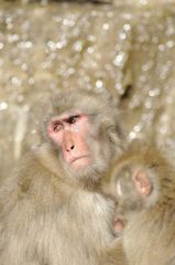 手続きとると住所が～～大変だ・・・・