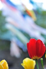 こんな景色を探しに・・