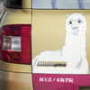 こ・こんな・・・車まで・・・・・