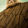 All Along the Watchtower
