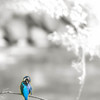 うまくきれないもんだな～