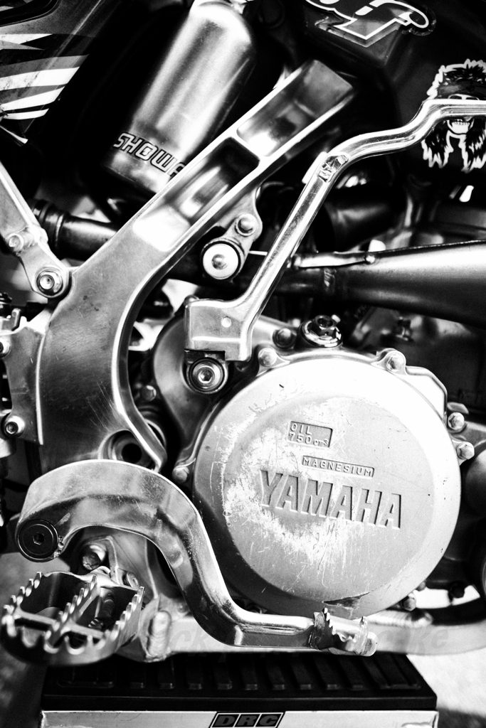YZ