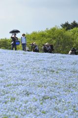 おかにつどうひ