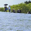 おかにつどうひ