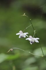 もっと絞らないと・・・・