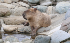 寝ながら水温を確かめます