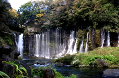 白糸の滝（静岡の方の）